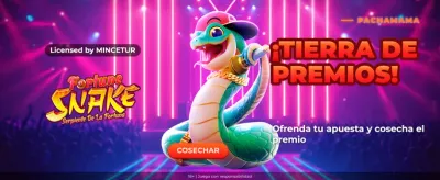 Depósito rápido y seguro en Crazy Time Stats